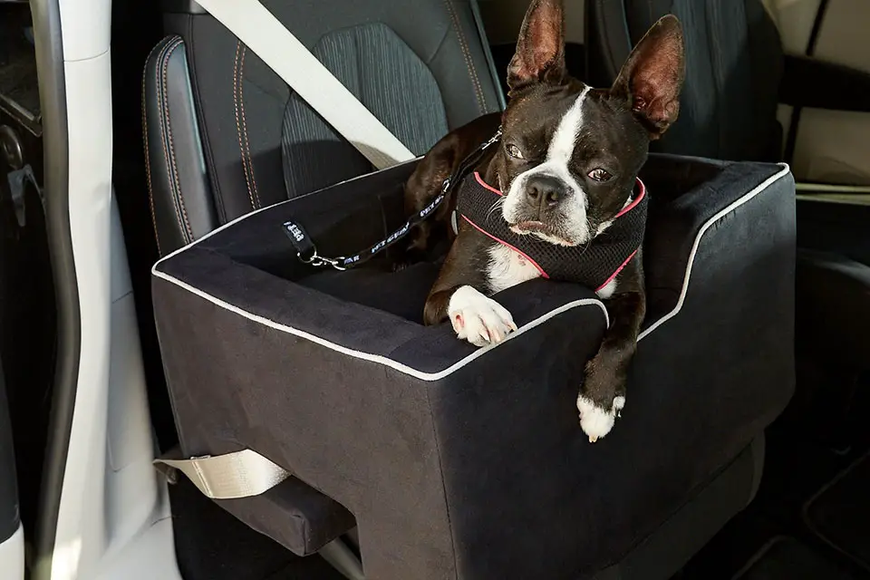 pet gear dog car seat
